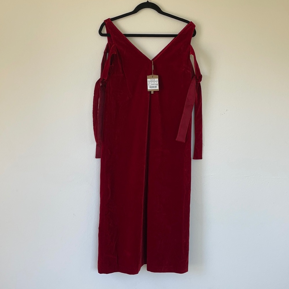 Gorgeous red velvet dress.
